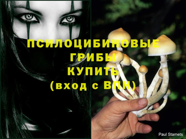 дмт Алексеевка